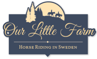 Our Little Farm Horse Riding in Sweden